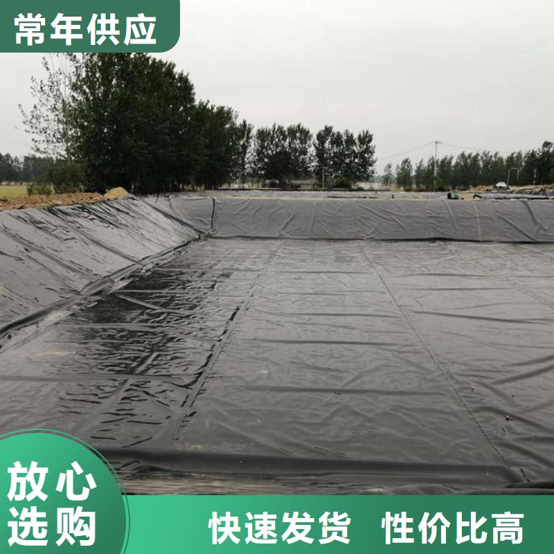 土工膜土工席实力厂家直销