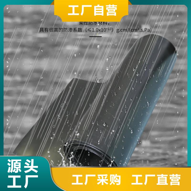 土工膜防渗膜从厂家买售后有保障