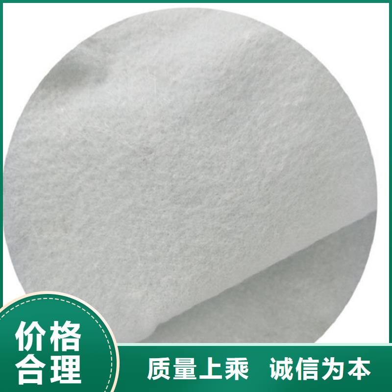 土工布HDPE土工膜自主研发