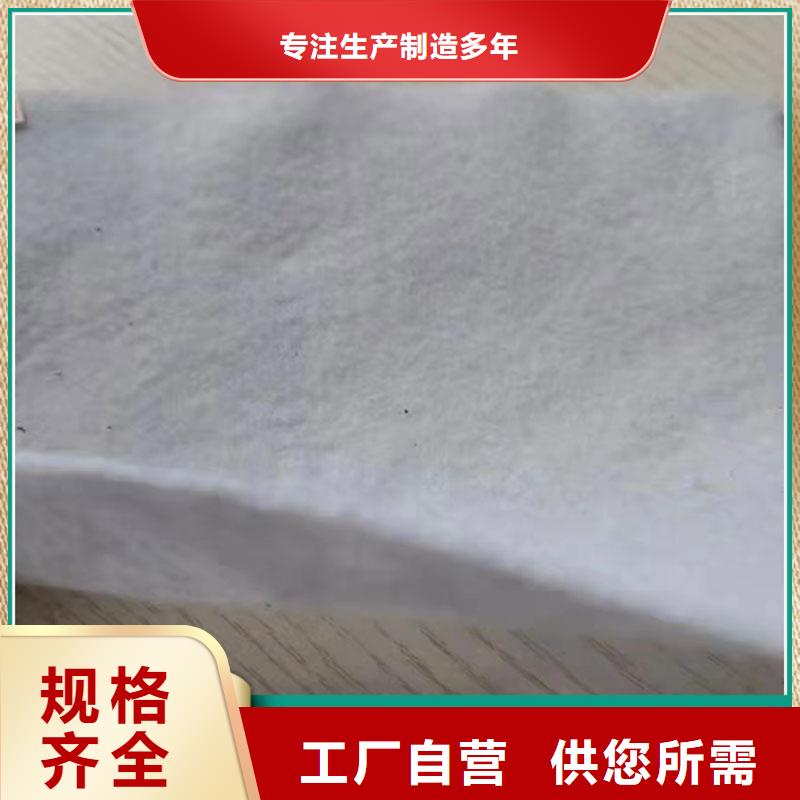 土工布-防水排水板品质优选
