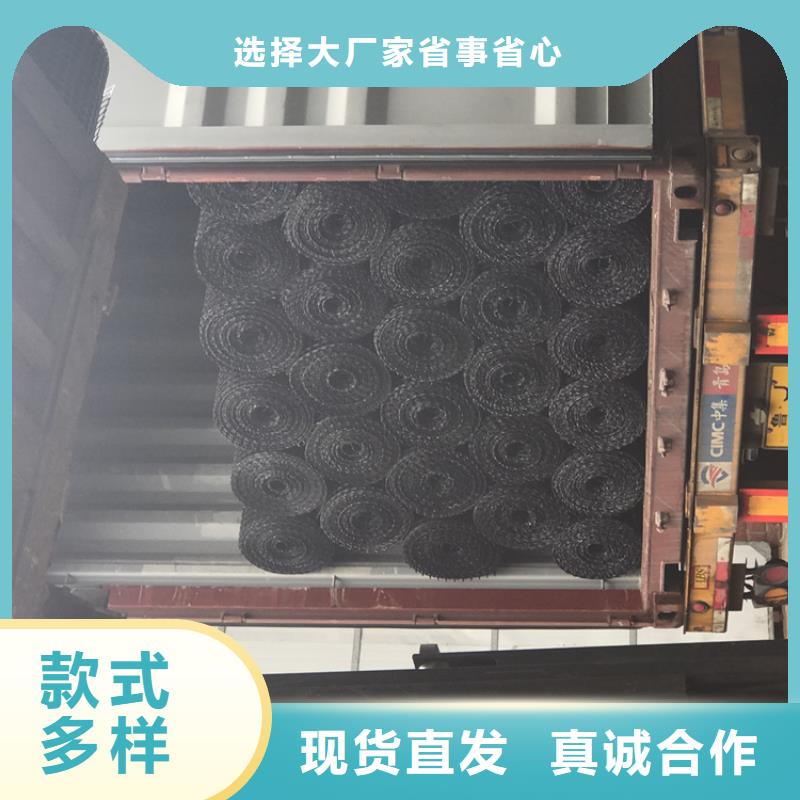 【土工格栅】-土工膜大厂家实力看得见