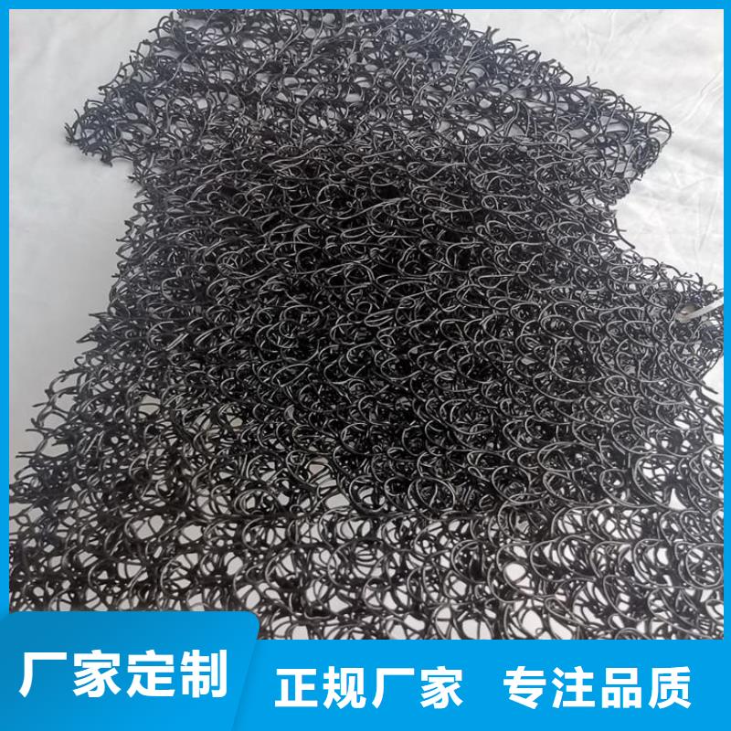 通风降噪丝网土工格栅本地厂家值得信赖