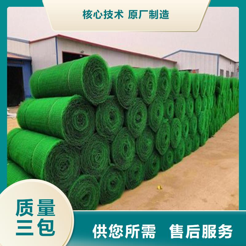 三维植被网_膨润土防水毯制造厂家