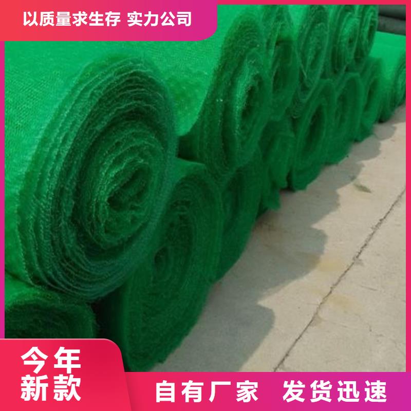 三维植被网土工膜量大更优惠