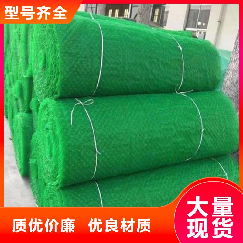 三维植被网,土工布材质实在