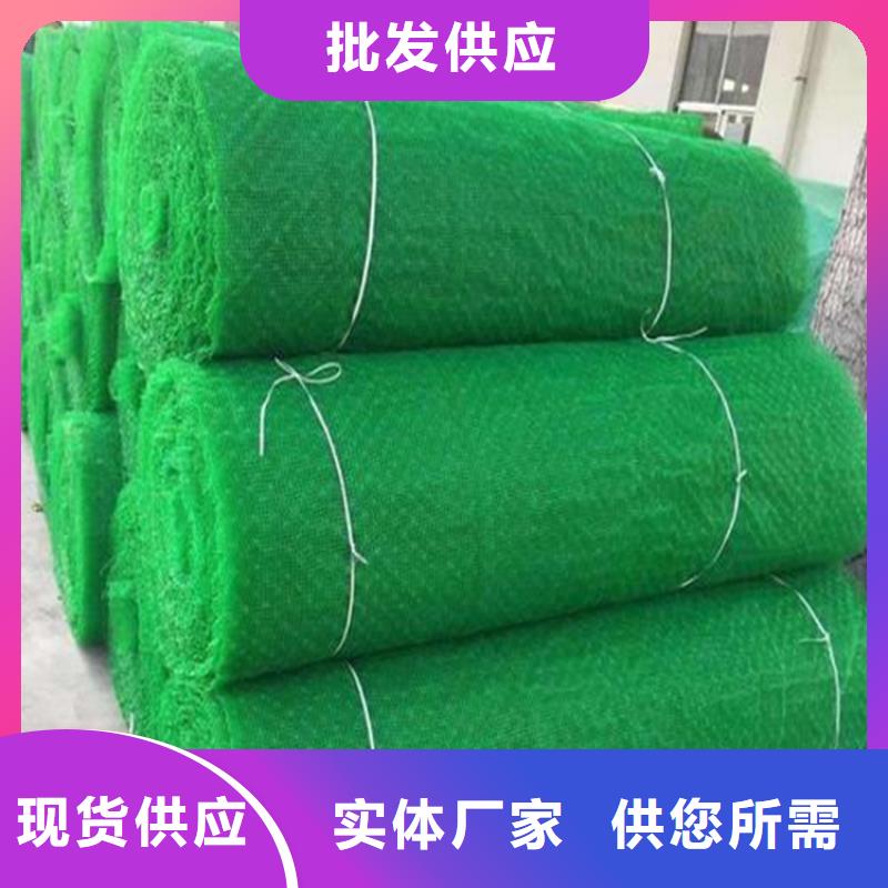 三维植被网植草格厂家直发