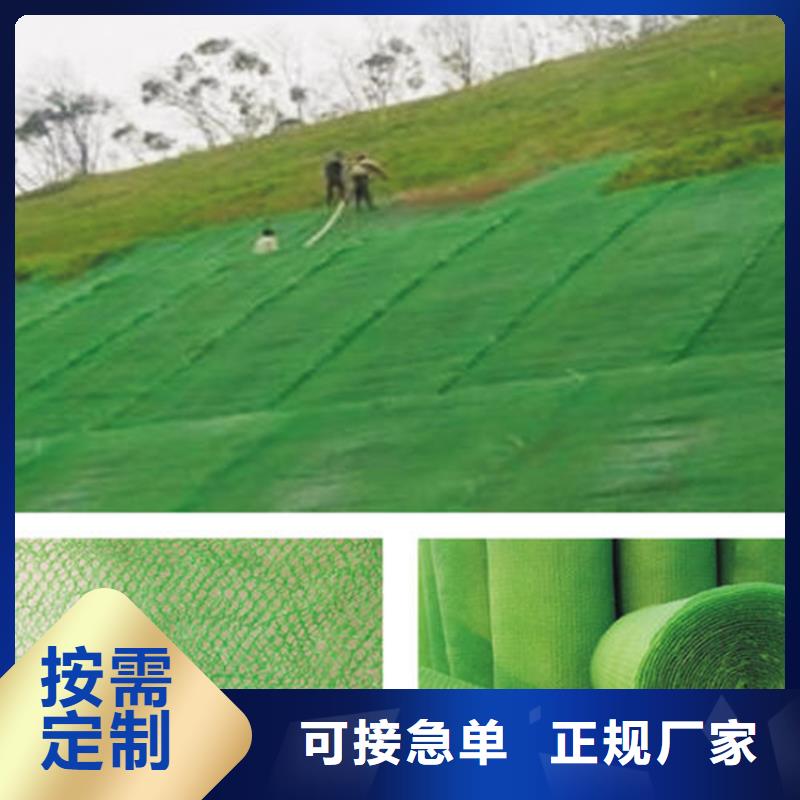 【三维植被网排水板实力见证】