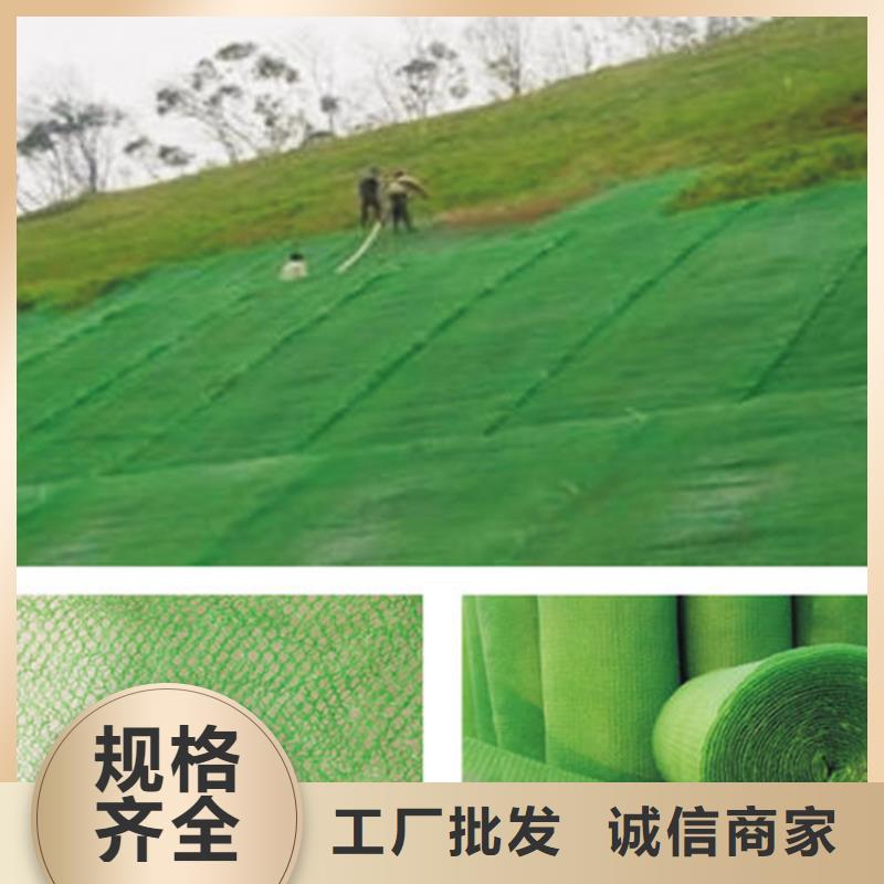【三维植被网【水泥毯】快速生产】
