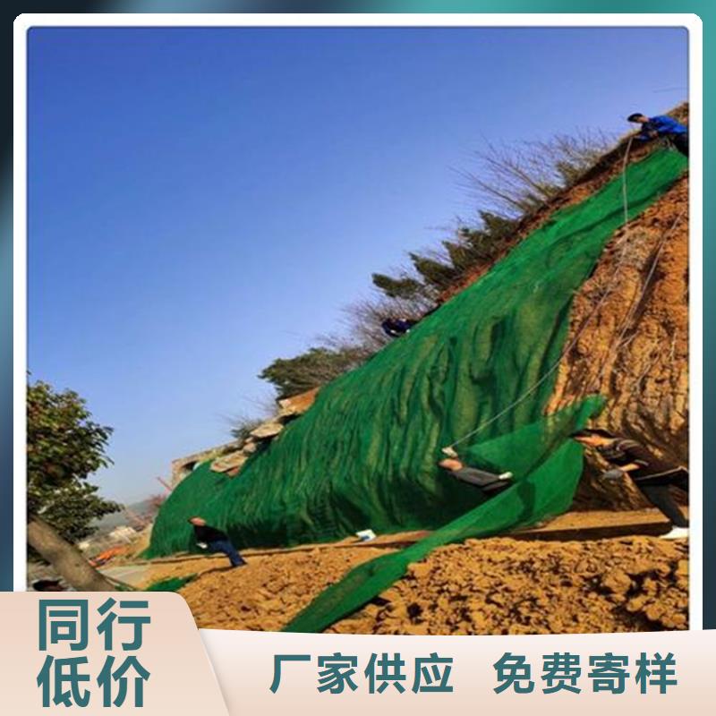 三维植被网土工膜生产经验丰富