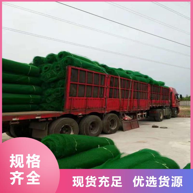 三维植被网通风降噪丝网源头采购