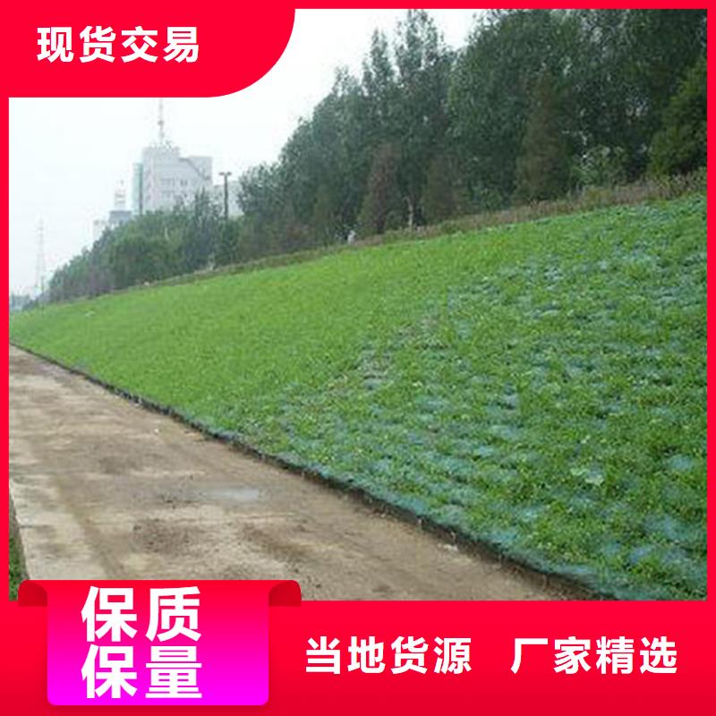 三维植被网_膨润土防水毯制造厂家
