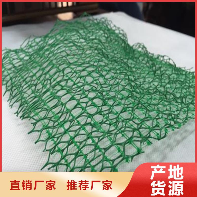 三维植被网,土工布材质实在
