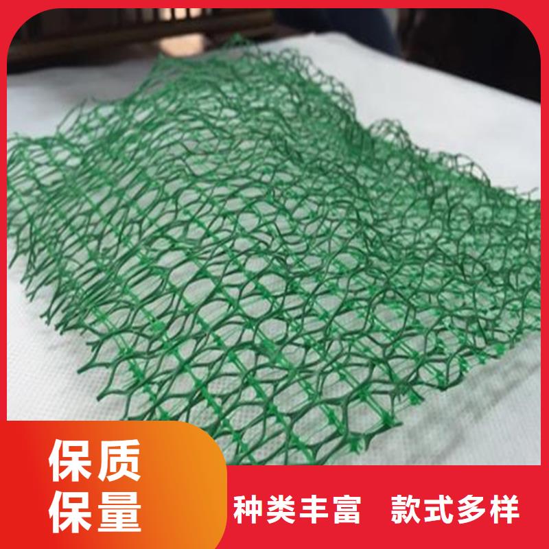 三维植被网土工布大量现货