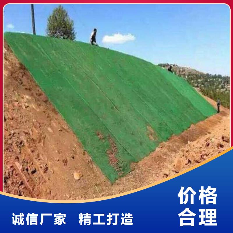 三维植被网土工膜量大更优惠