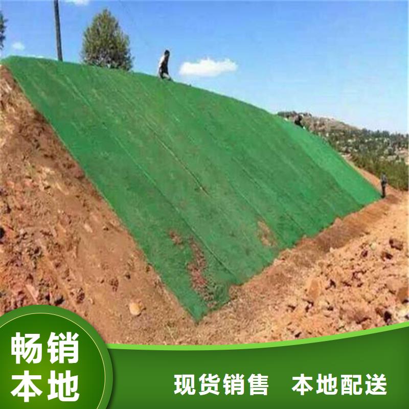 三维植被网,塑料盲沟现货直供