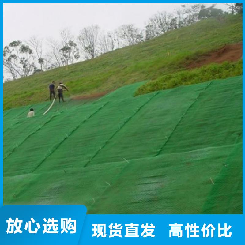 三维植被网HDPE土工膜好产品有口碑