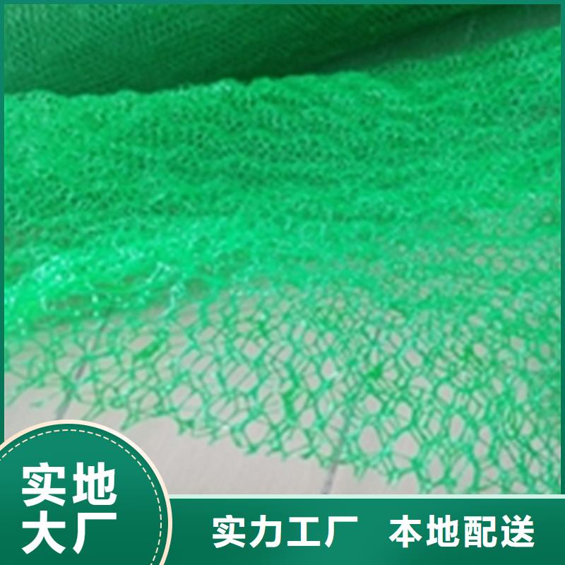 三维植被网土工膜量大更优惠