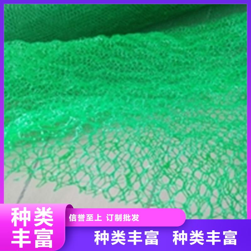 三维植被网HDPE土工膜好产品有口碑
