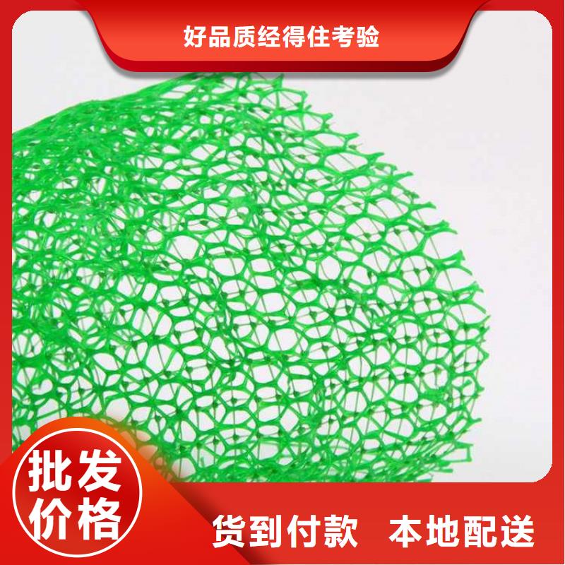 三维植被网,土工布材质实在