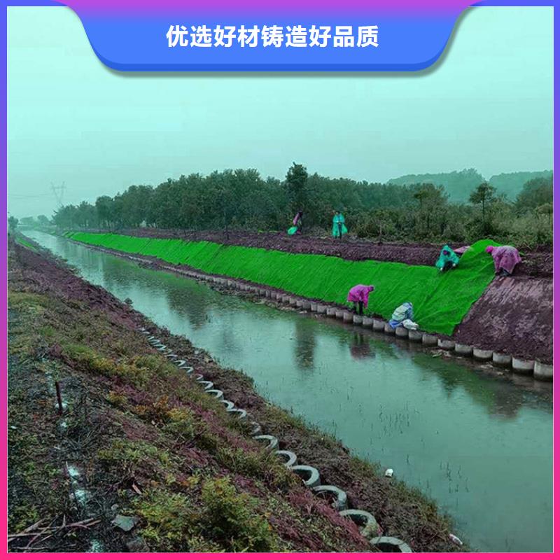 三维植被网,土工布材质实在