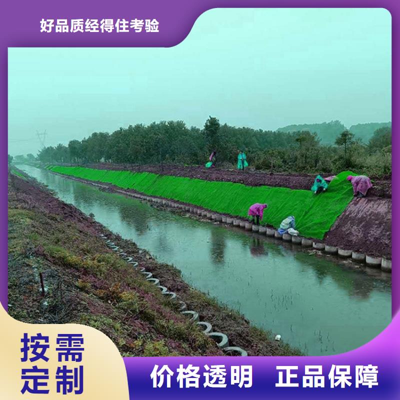 三维植被网【防水膜】自有厂家