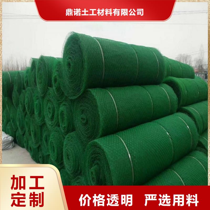 三维植被网土工格栅精致工艺