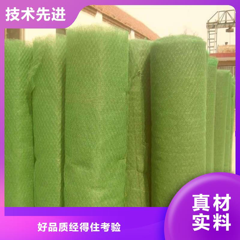 三维植被网_膨润土防水毯制造厂家