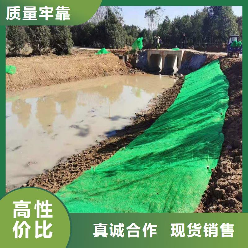 三维植被网,【水泥毯】可定制有保障