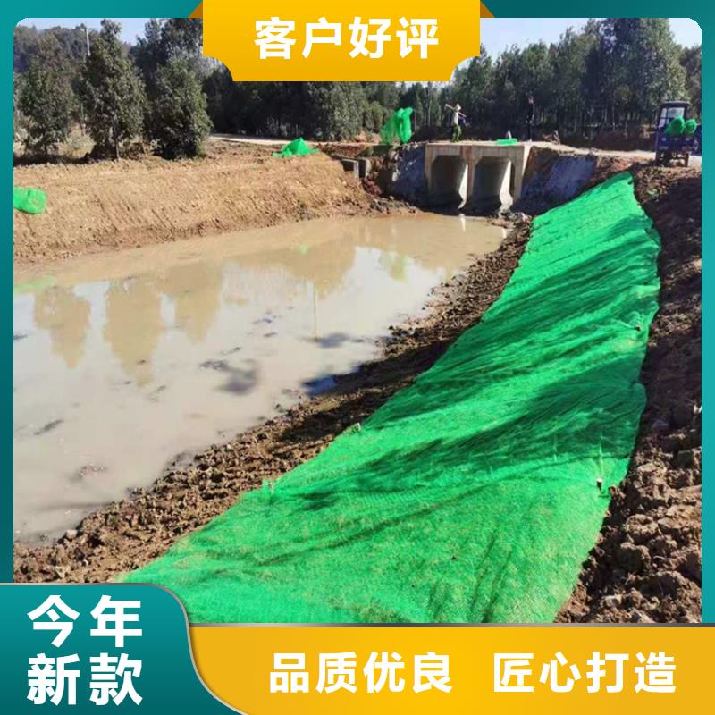 三维植被网植草格厂家直发