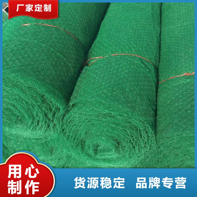 三维植被网【生态袋】量大更优惠