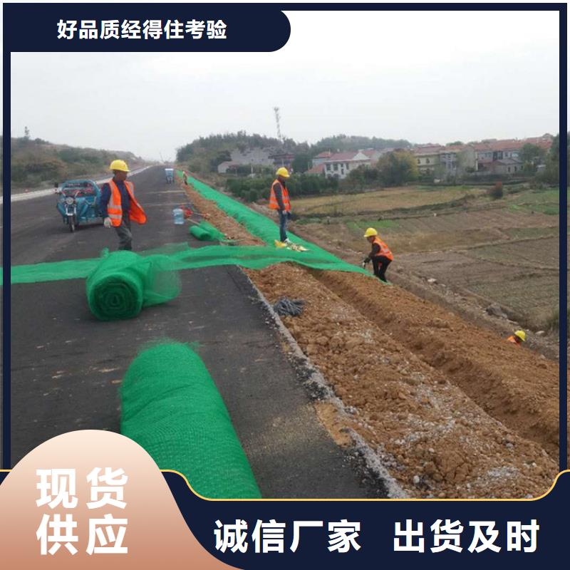 三维植被网通风降噪丝网源头采购