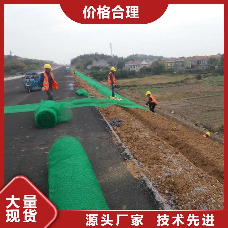 三维植被网排水板多行业适用