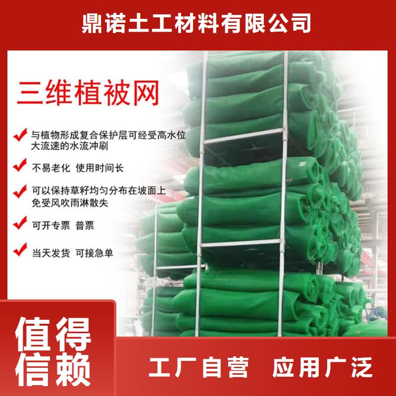 【三维植被网排水板实力见证】