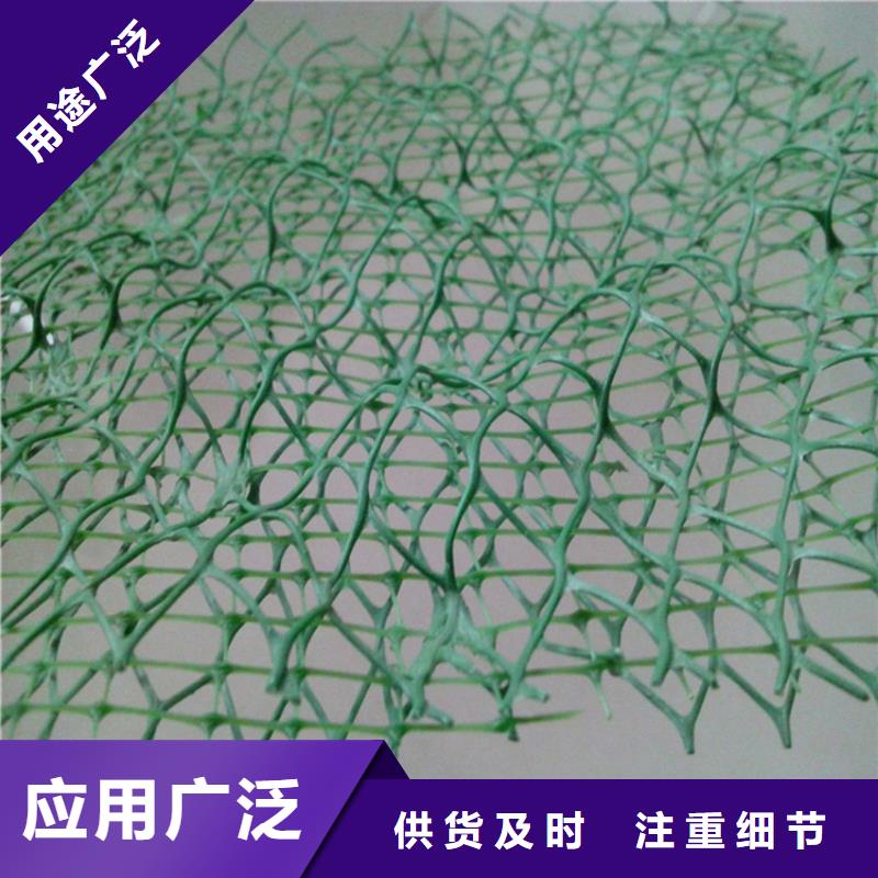 三维植被网膨润土防水毯品质做服务