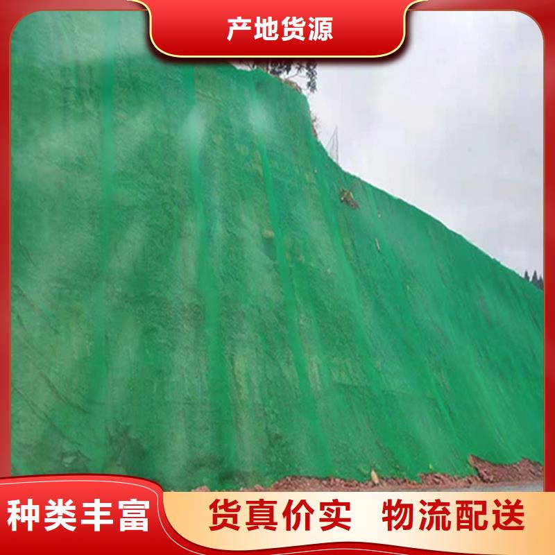 三维植被网,水泥毯您想要的我们都有