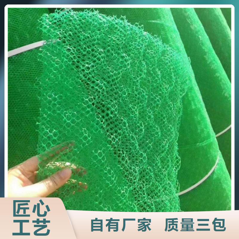 【三维植被网排水板实力见证】