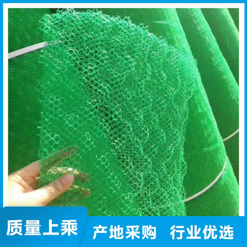 三维植被网HDPE土工膜细节之处更加用心