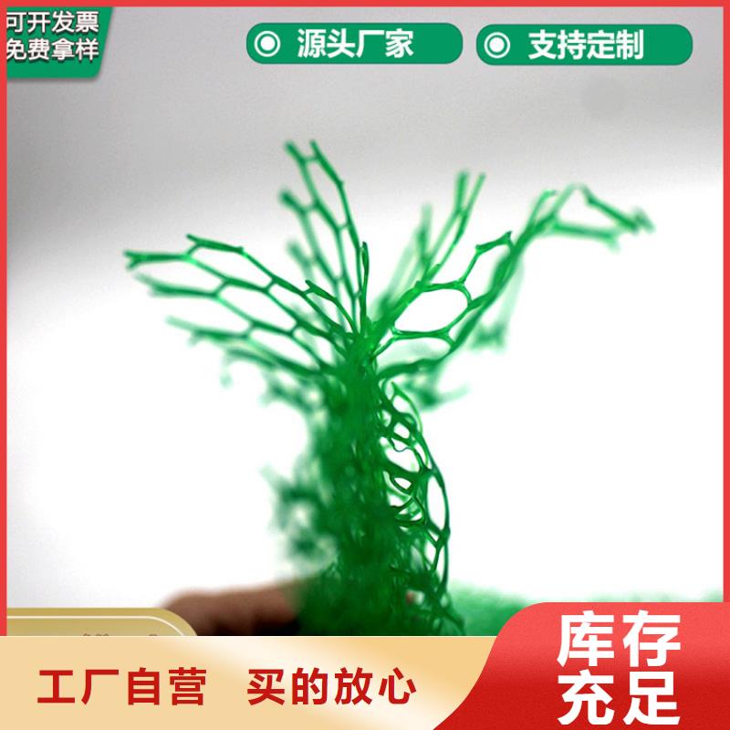 三维植被网,【水泥毯】可定制有保障
