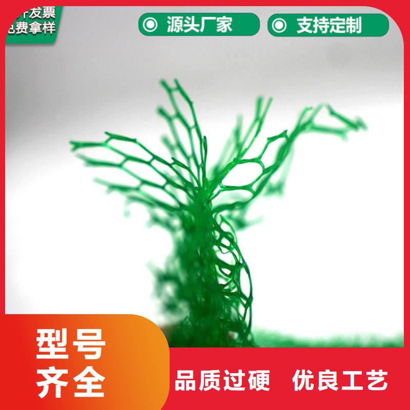 三维植被网HDPE土工膜好产品有口碑