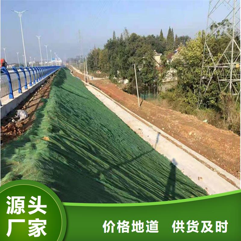 三维植被网【生态袋】量大更优惠