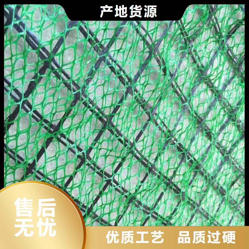 三维植被网_膨润土防水毯制造厂家