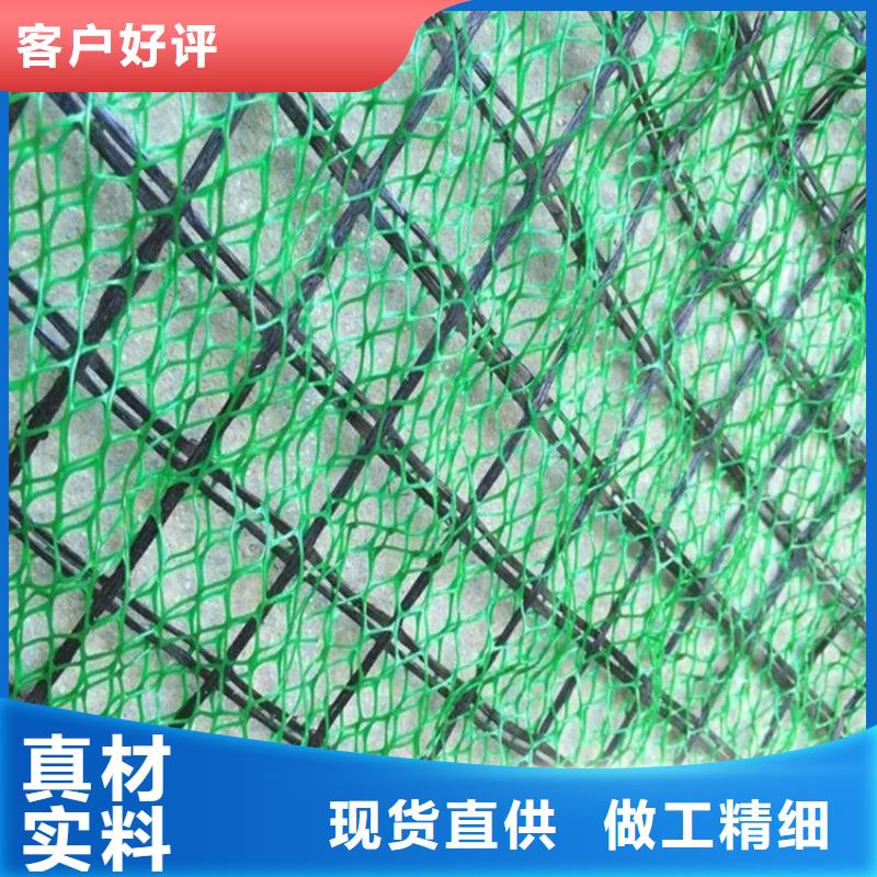 【三维植被网排水板实力见证】