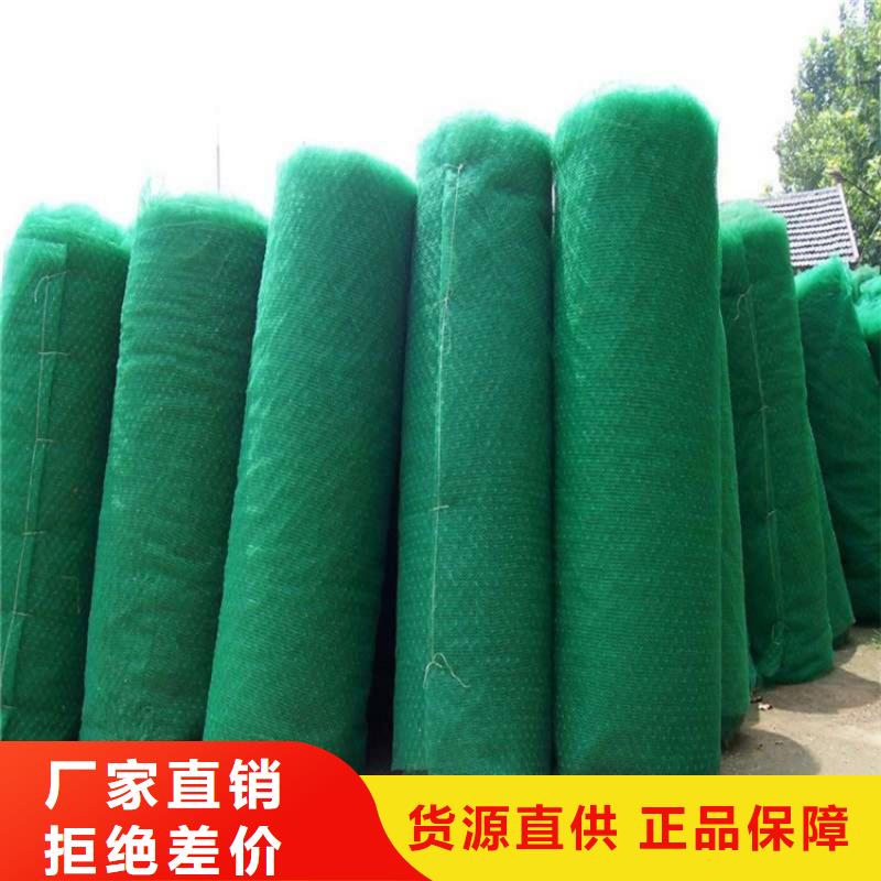 三维植被网排水板多行业适用