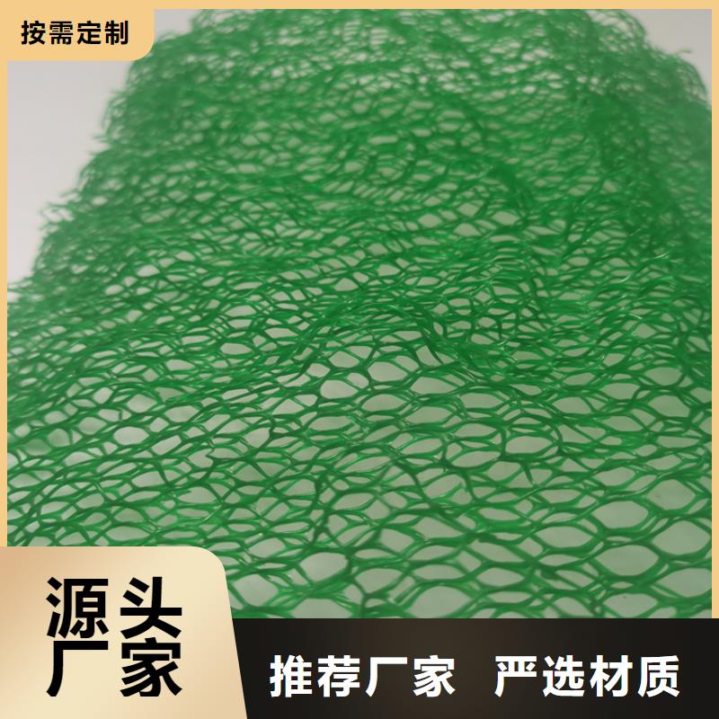 三维植被网通风降噪丝网源头采购