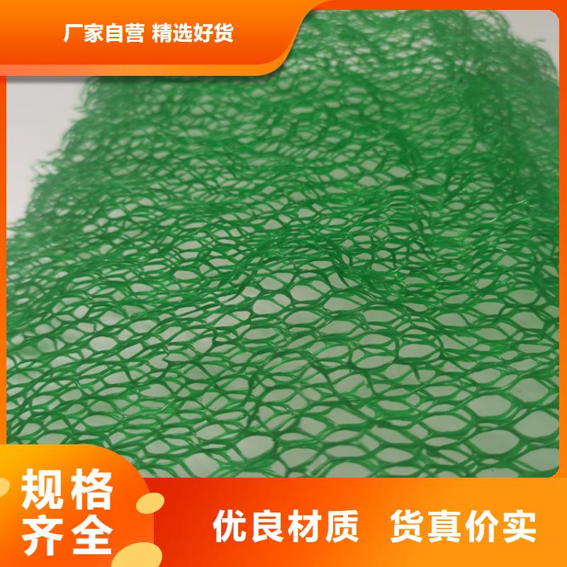 三维植被网【植草格】懂您所需