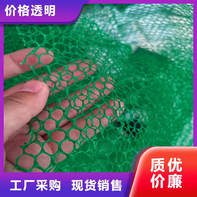 三维植被网通风降噪丝网源头采购