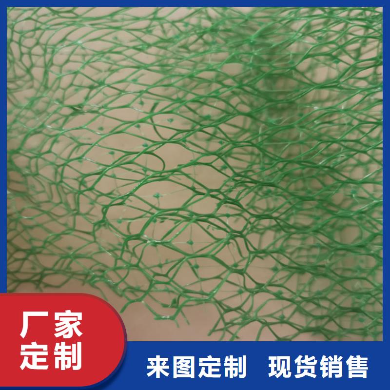 三维植被网植草格厂家直发