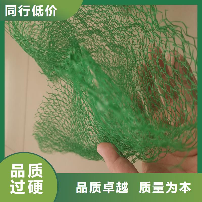 三维植被网土工膜量大更优惠