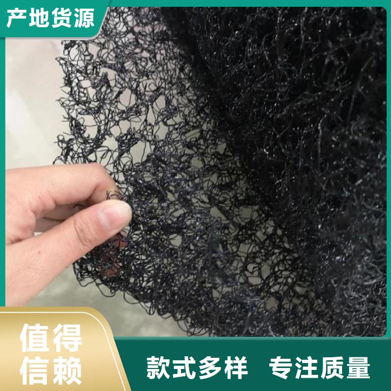 水土保护毯塑料盲沟精选货源