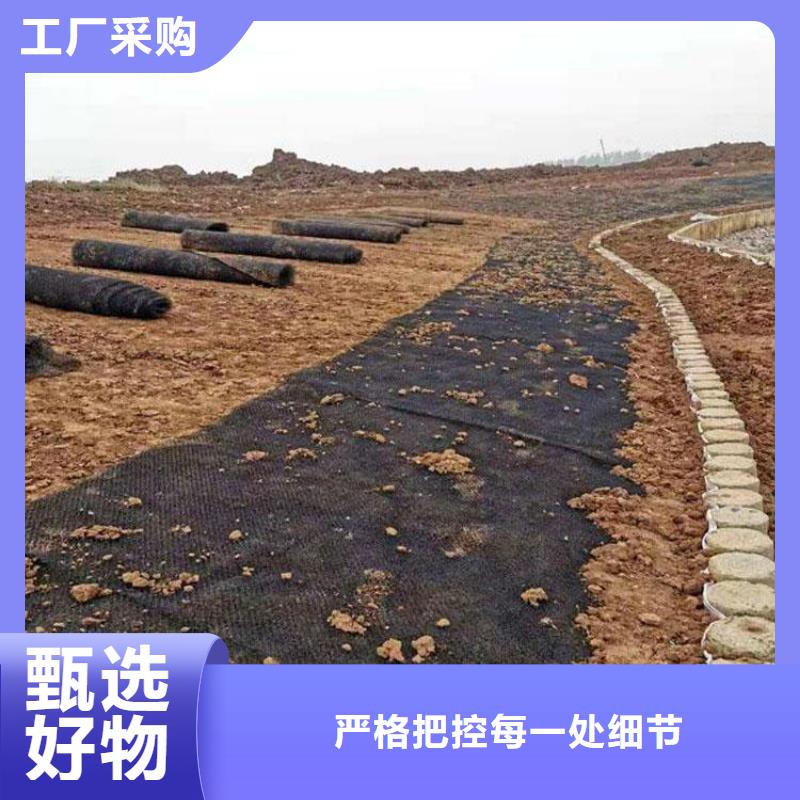 水土保护毯防渗膜质量优价格低